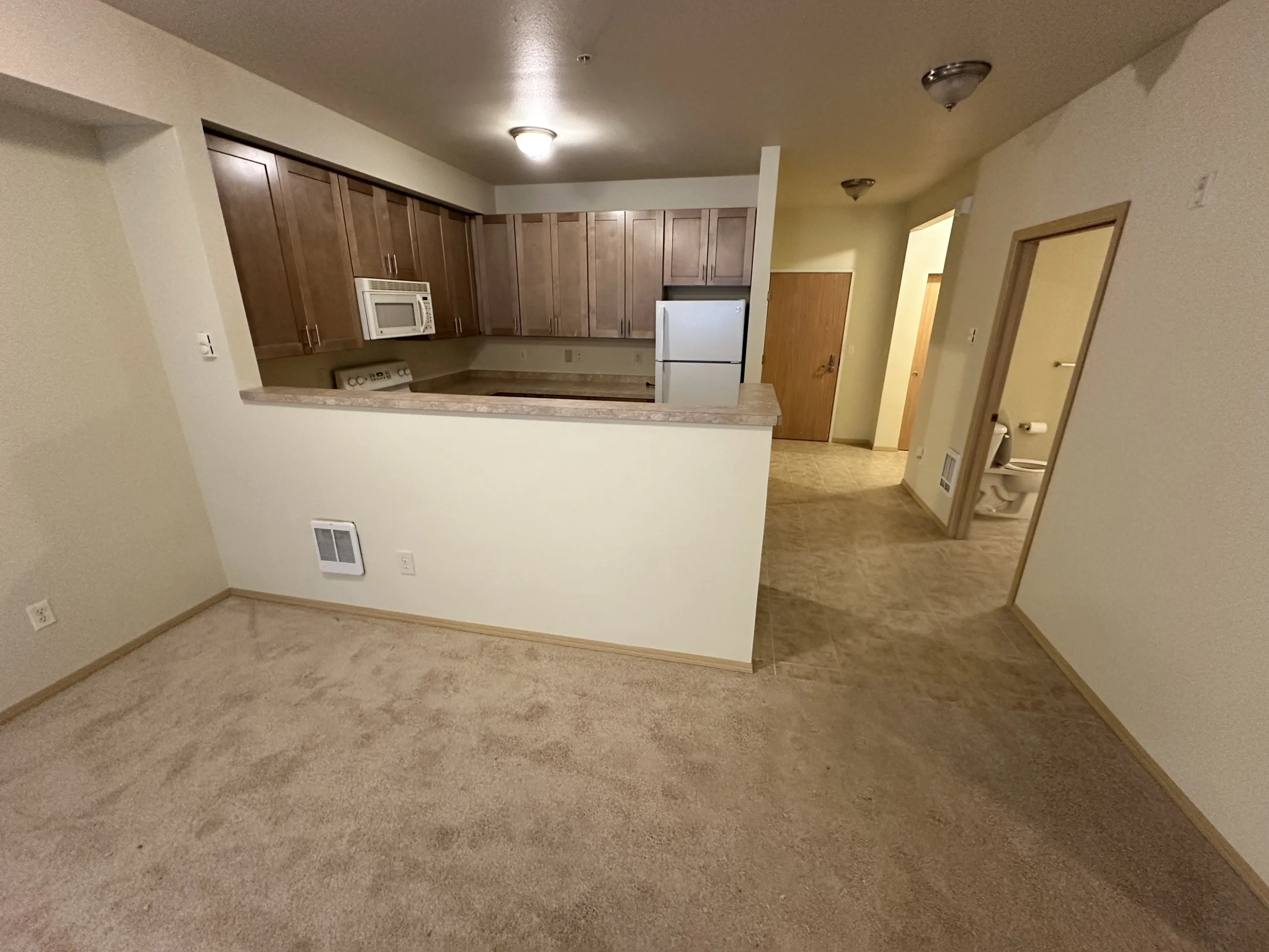 condo unit showing new tile paint trim and carpet and cabinets