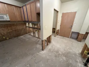 condo unit after water damage and demo and is ready to rebuild